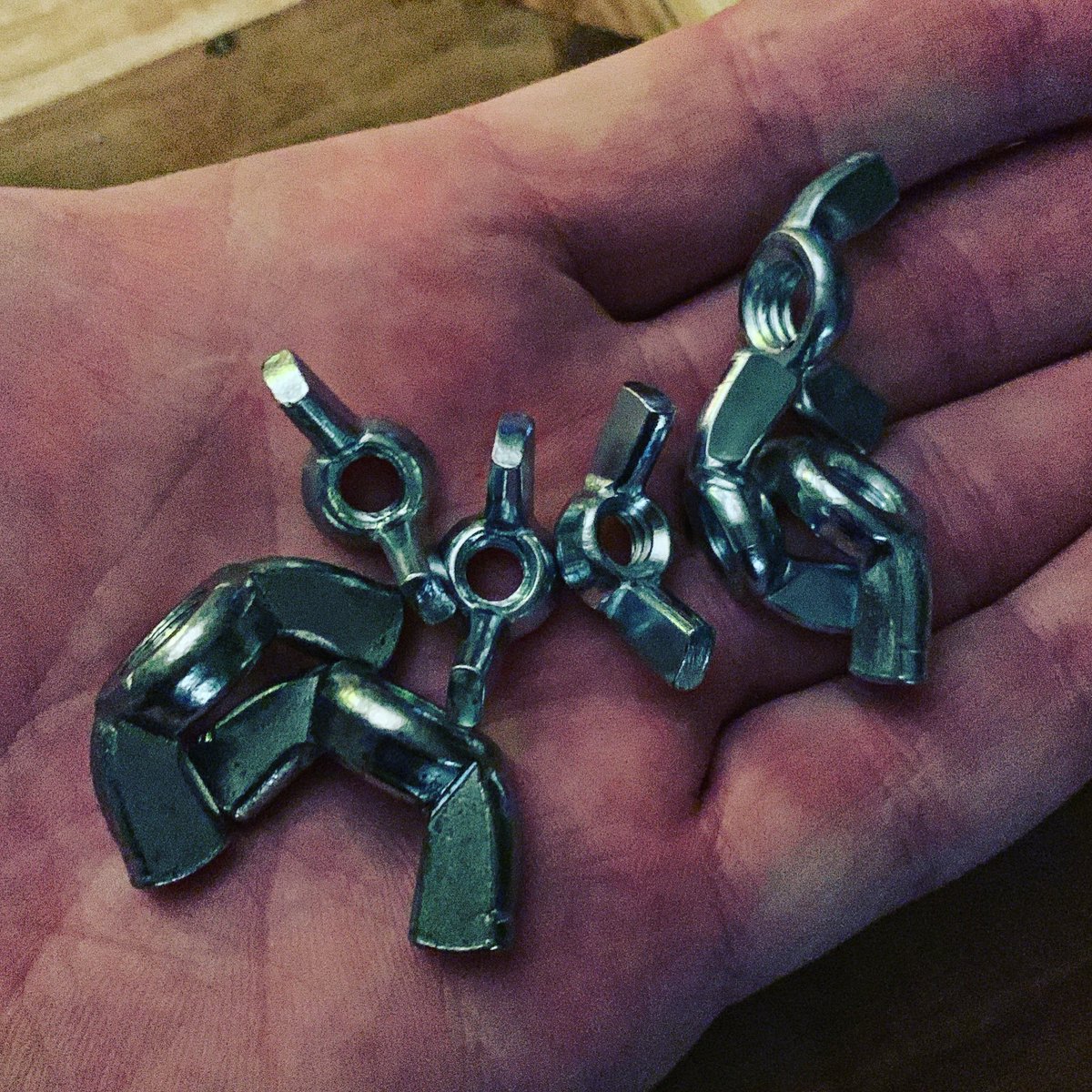 rattyrelic's tweet image. Pocket horoscope #wingnuts