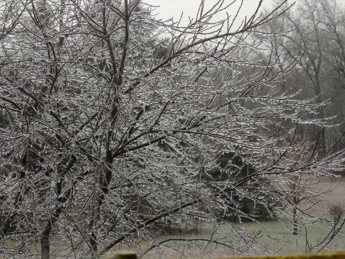 DogsongWW's tweet photo. @ryanhallyall oak harbor, oh. Just shy of an 1/8" accumulation so far. Will transition to snow soon. Lots of sleet on the ground. https://t.co/sSX4Dmhza6