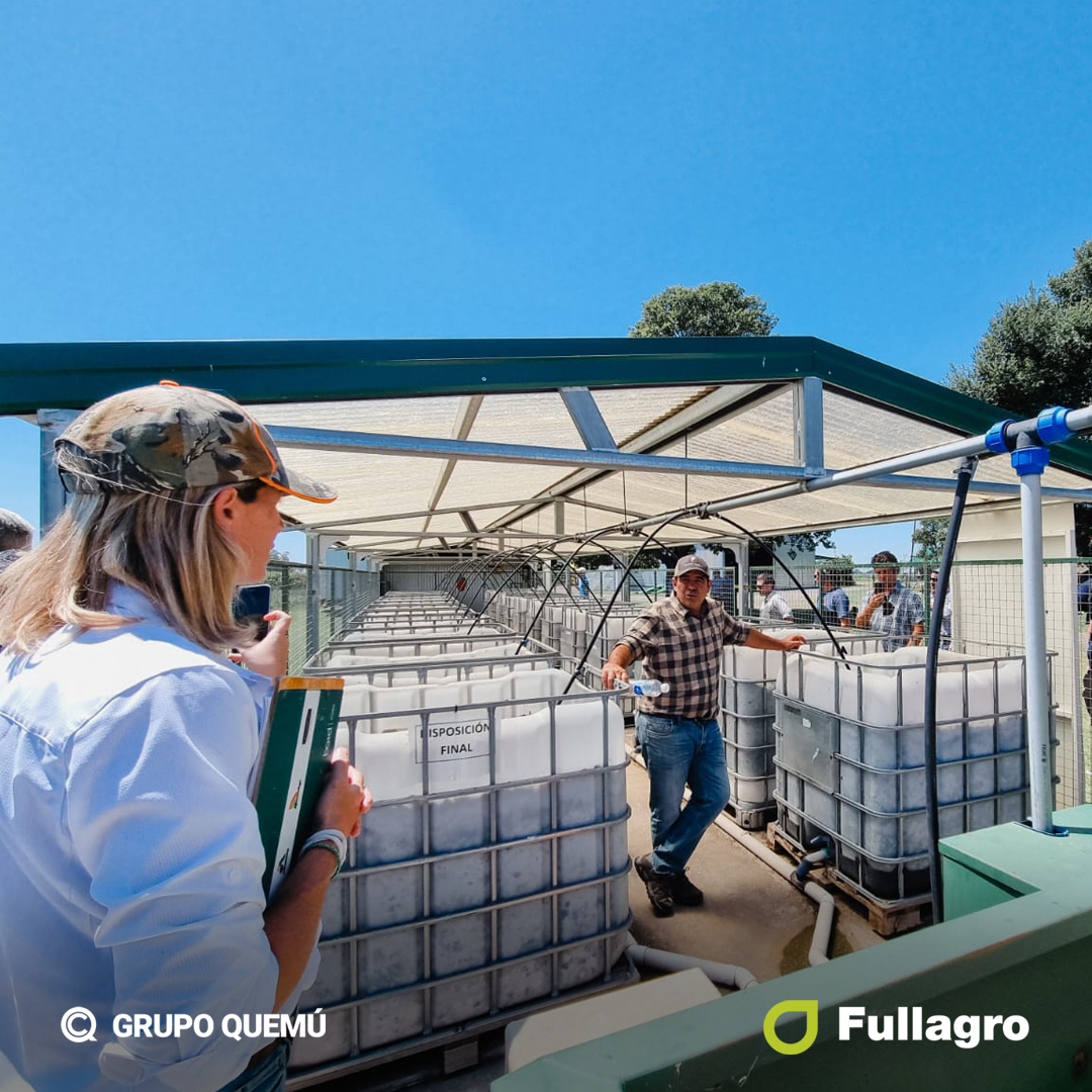 Fullagrosrl's tweet photo. Gran jornada el #BayerForwardFarming junto a productores, asesores agronómicos y
el equipo de @Bayer4CropsAR  en el establecimiento de @BFF_Agric_Testa 
en Pergamino.
#BuenasPracticas #CamasBiologicas #CerealesQuemu #Dekalden #Cyagro #Fullagro #GrupoQuemu https://t.co/zqS1FAjiiO