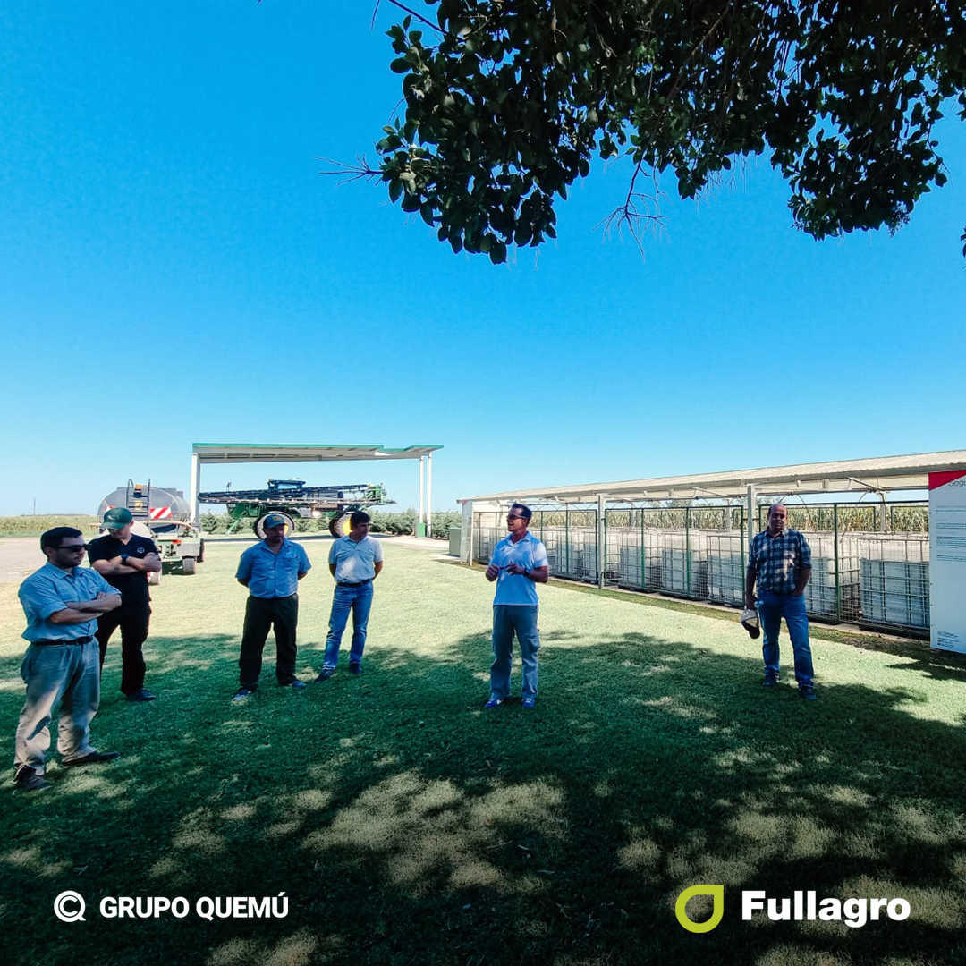 Fullagrosrl's tweet photo. Gran jornada el #BayerForwardFarming junto a productores, asesores agronómicos y
el equipo de @Bayer4CropsAR  en el establecimiento de @BFF_Agric_Testa 
en Pergamino.
#BuenasPracticas #CamasBiologicas #CerealesQuemu #Dekalden #Cyagro #Fullagro #GrupoQuemu https://t.co/zqS1FAjiiO