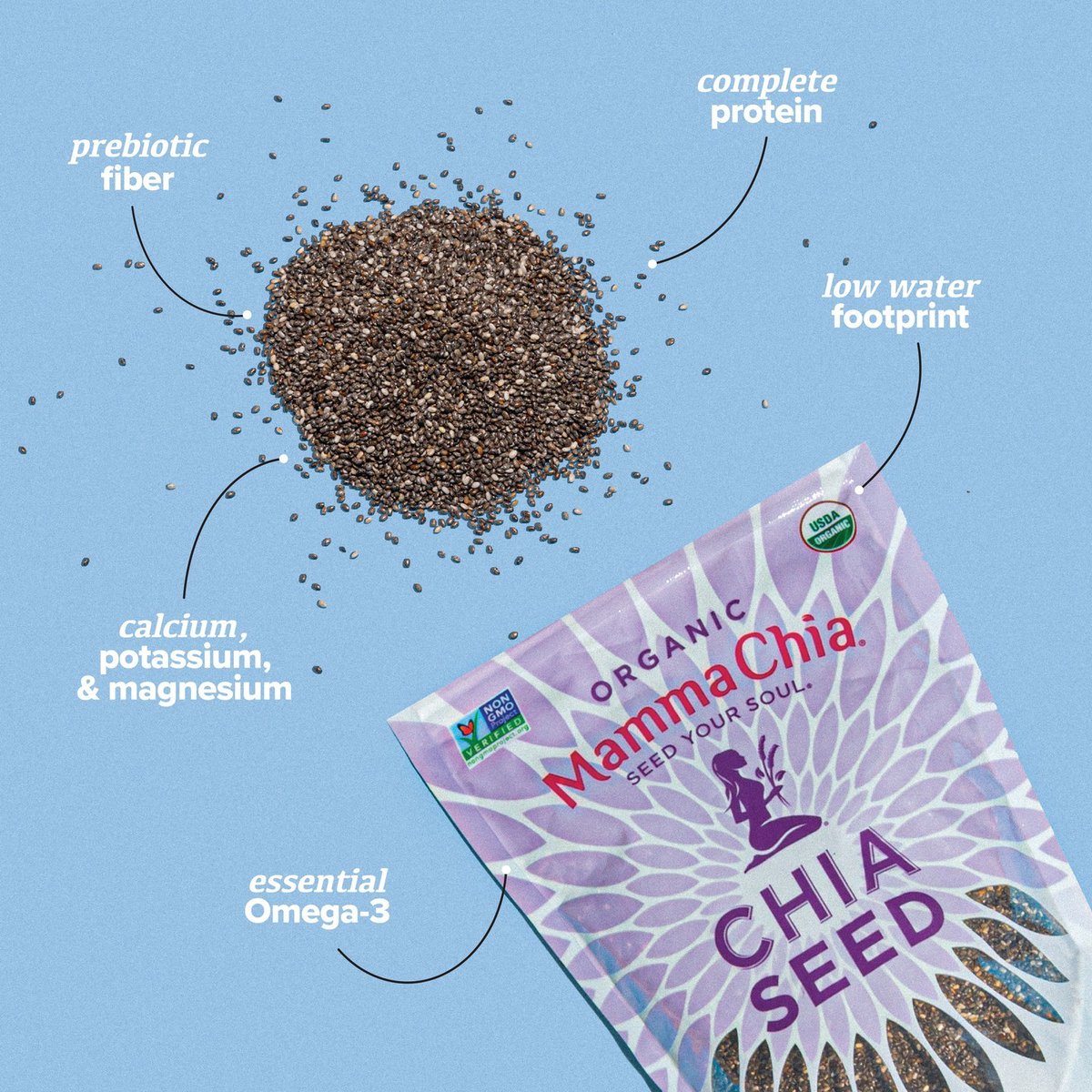 Tiny seeds, huge benefits. Food is one of our most powerful tools for radiant health, lifted mood, and pep in our step. ⁠
⁠
With chia seeds on hand, we can give any meal an extra dose of nutrition. What's your favorite benefit that chia provides?