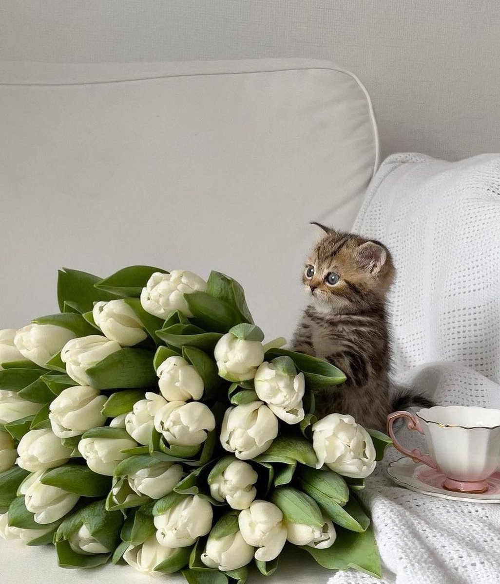 HomesickCandles's tweet photo. Can you handle the cuteness? π₯Ί #currentlyburning Love Letters π― https://t.co/WSRkHWeyXS
