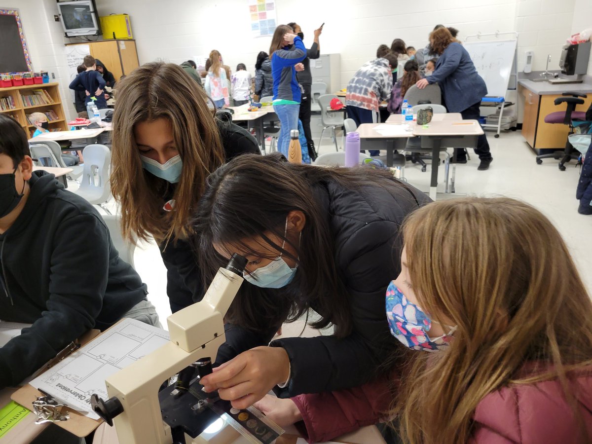GregVeto92's tweet photo. Awesome work with microscopes. Great collaboration with @BrandiMcRobert5 @CountrysideElem https://t.co/uDQVVjafK8