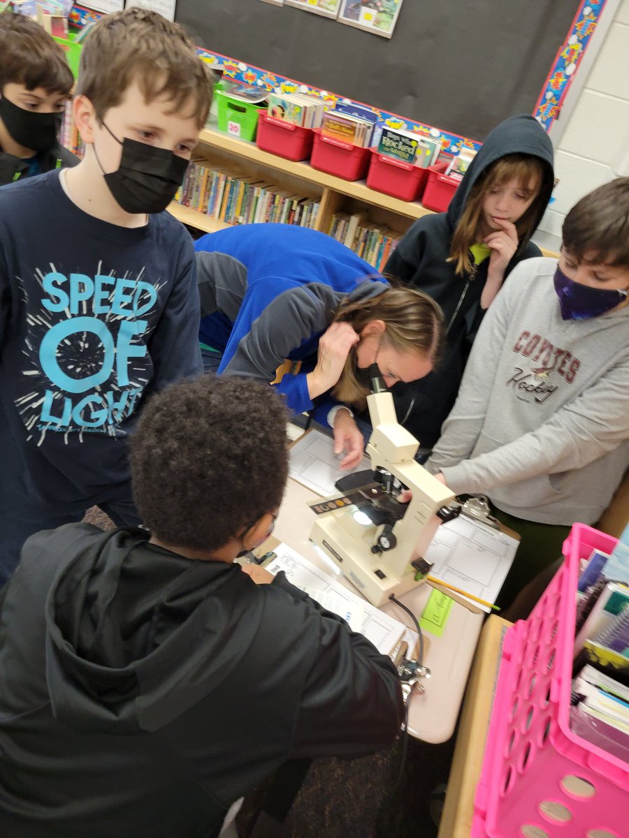 GregVeto92's tweet photo. Awesome work with microscopes. Great collaboration with @BrandiMcRobert5 @CountrysideElem https://t.co/uDQVVjafK8