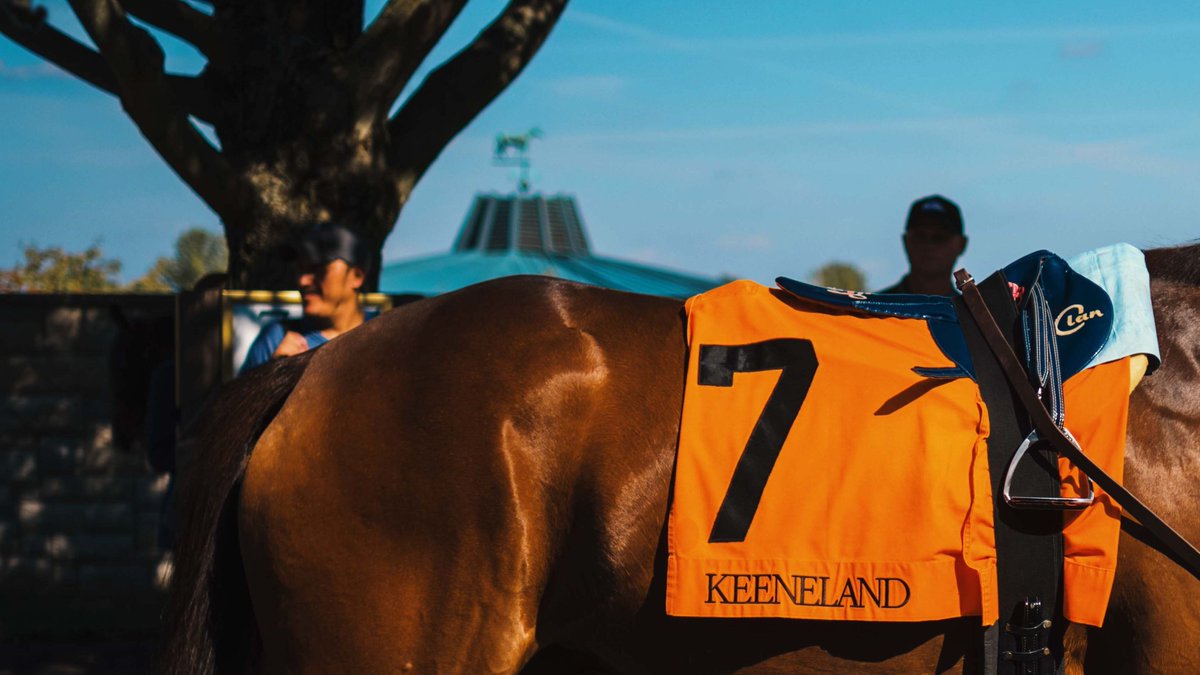 keenelandsales's tweet image. Save the date for the Keeneland April Horses of Racing Age Sale: April 29 at 6:30 p.m., after the final race of the day.