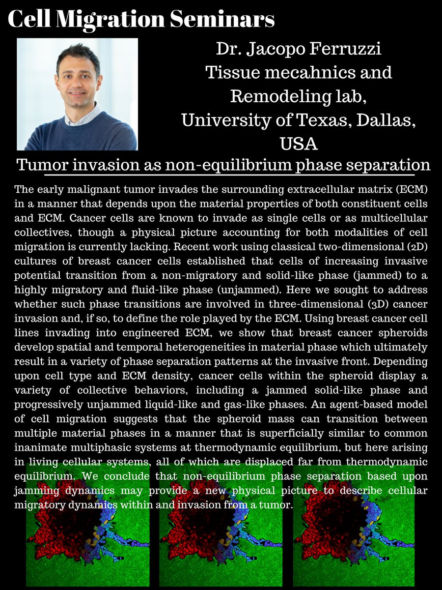 Join us next Tuesday Feb. 22nd to hear from Dr. Suraj Shankar about collective bacterial swimming and Dr. Jacopo Ferruzzi <a href="/jacopoferruzzi/">Jacopo Ferruzzi</a> about tumor invasion as non equilibrium phase separation at 11 am ET !!!

Mark your 📅 and tune in.....