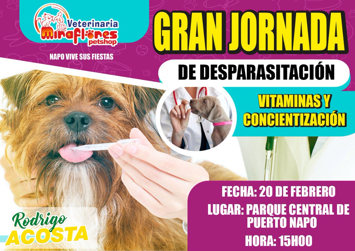 Rodrigo_AcostaM's tweet photo. #FaunaUrbana | Invitamos a todos los dueños de los amigos del hogar a la desparasitación y vacunación de sus mascotas.

Totalmente gratis, gracias a la veterinaria Miraflores.

#RofrigoAcosta #GenteHonesta #FaunaUrbana #PuertoNapo #Tena #Napo https://t.co/agSkJO7m2g