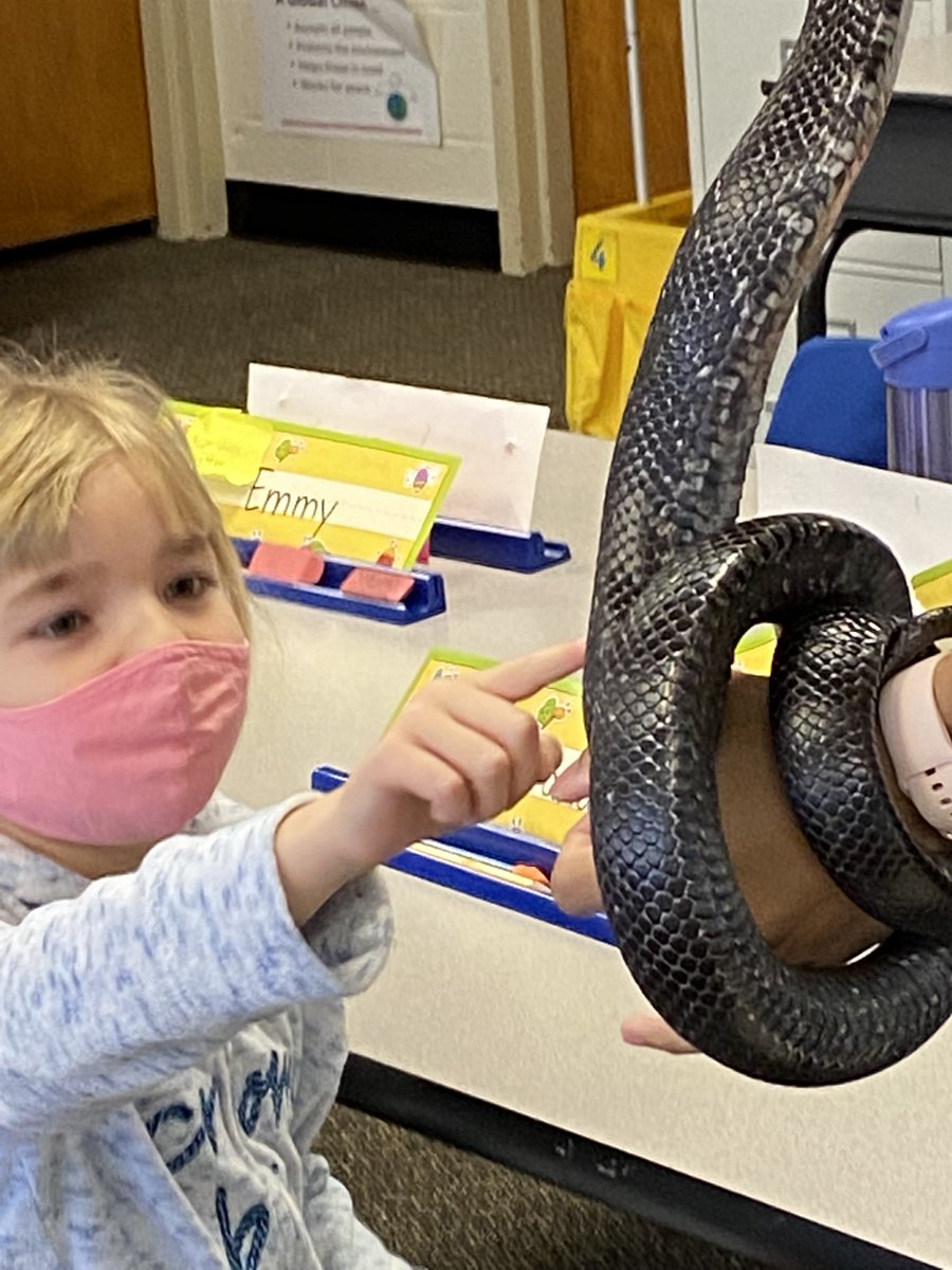 Thank you to <a href="/arlparksrec/">ARL VA Parks & Rec</a> Nature Center for visiting our class today! We had a blast learning about vertebrates and their different body coverings. A few friends came along too 🐍 🐦 🐸