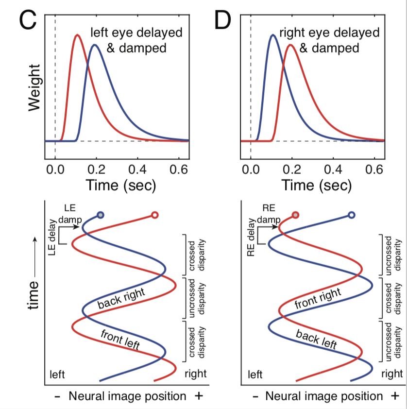 perceptchin's tweet photo. Our results make sense because higher spatial frequencies are processed with longer temporal integration periods, effectively ’damping’ the motion signal and causing the anomalous Pulfrich percept (4/4) https://t.co/uRFcdVWzeS