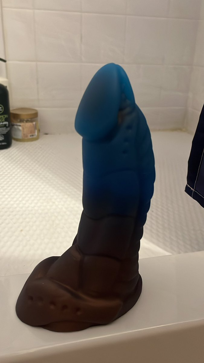 🦎Totally didn’t just get some fun new toys