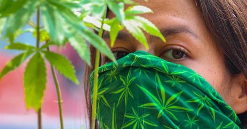 Gestionpe's tweet photo. Sector textil basado en cannabis se alía con casas de moda por negocios sostenibles
►https://t.co/aXAQ5RTme6
#Textil #Cannabis #Sostenible #CasaDeModa #Juana #WTSourcing https://t.co/XkELTWeo5s