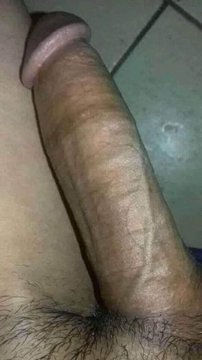 يلي تريد تمص تجي انا مستعد لكل المربربات