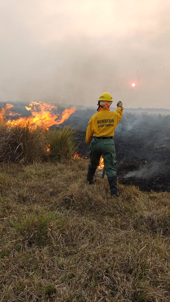 BomberoCarapegu's tweet photo. #INCENDIO 
95% solucionado el incendio en Franco Isla Hugua. Gran trabajo en conjunto con los lugareños. #BOMBEROSCARAPEGUA #carapeguá https://t.co/vTa6Qiu8fA