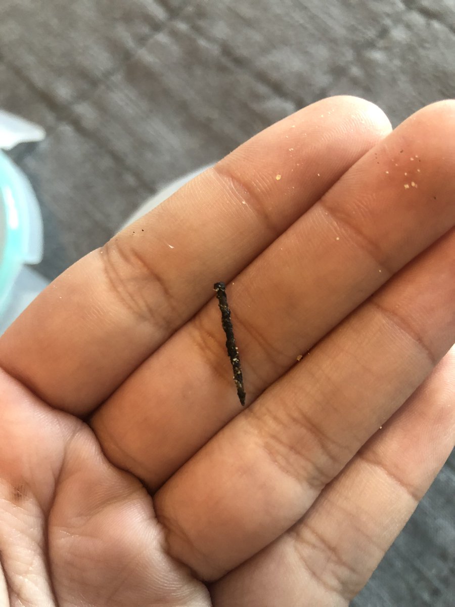 hey @BIXBIPet wanna explain why i found bits of black plastic/metal in my dog's treats and eventually found a NAIL?