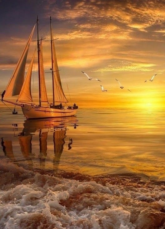 NATURELOOVE's tweet photo. Nature beauty 😍
#Nature #Landscape #Photography 📸 https://t.co/FgrTxv3v9c