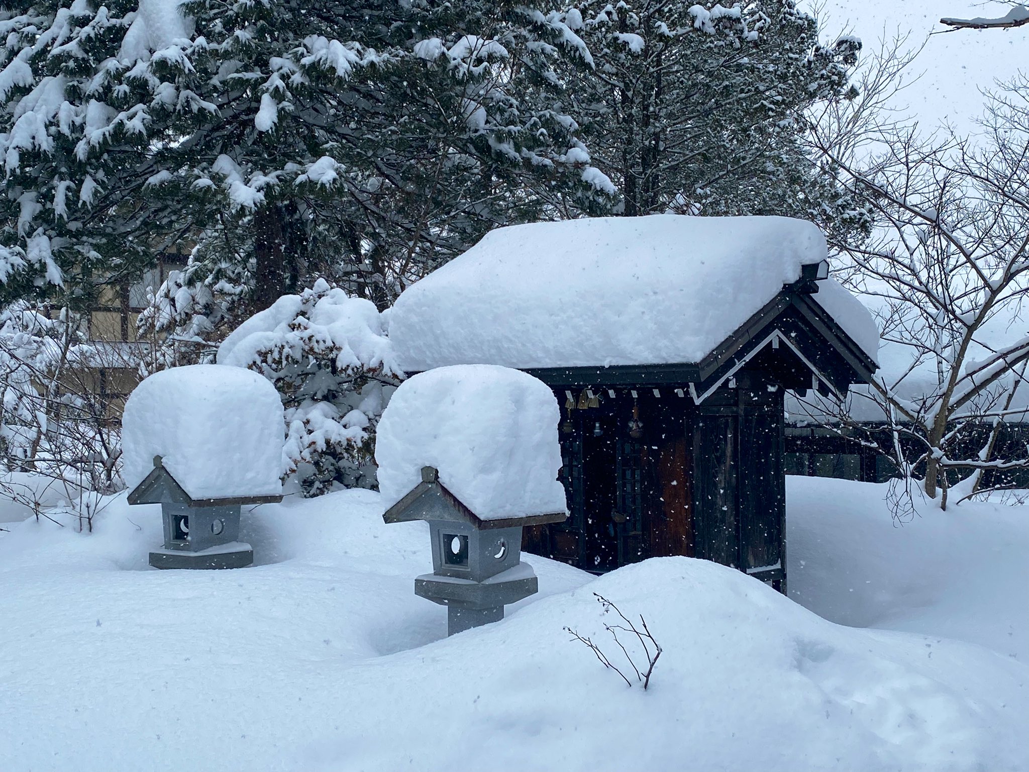 奥飛騨の宿 故郷 公式 おはようございます 現在の福地温泉の気温は ５ 雪が降り続いているので 灯籠の竿の部分まで積もっております 渡り廊下の窓の外も自然と雪の回路と化しています 福地温泉 奥飛騨の宿故郷 奥飛騨温泉郷 飛騨高山