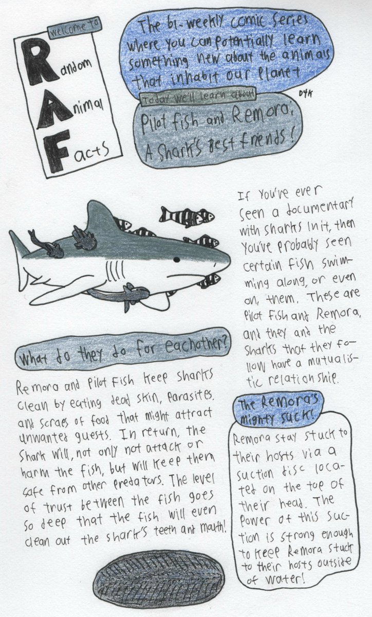 Dommer4kill's tweet photo. I was looking through all my old episodes of Random Animal Facts a bit ago. its a shame I had to put them down when I did, despite how hard they were they were still pretty fun to do.
#Webcomic #webcomics #D4K #D4KComics #RAF #RandomAnimalFacts https://t.co/9h8PIKuxH9