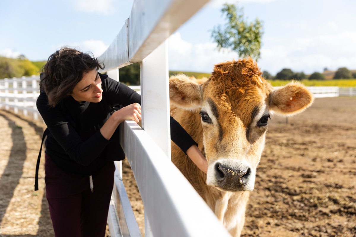 Orbillion1's tweet photo. 🤗On this Random Acts of Kindness Day, we couldn’t pass up the opportunity to give a shout out to this fine heifer who let our team member, Rachel, pet her for 8 whole minutes. 

#randomactsofkindnessday #takecareofeachother #bekind #kindtoanimals #craftmeat #payitforward https://t.co/0x12QDoedm