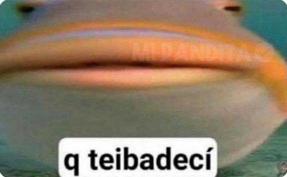 yo a la mitad del audio que estoy mandando: