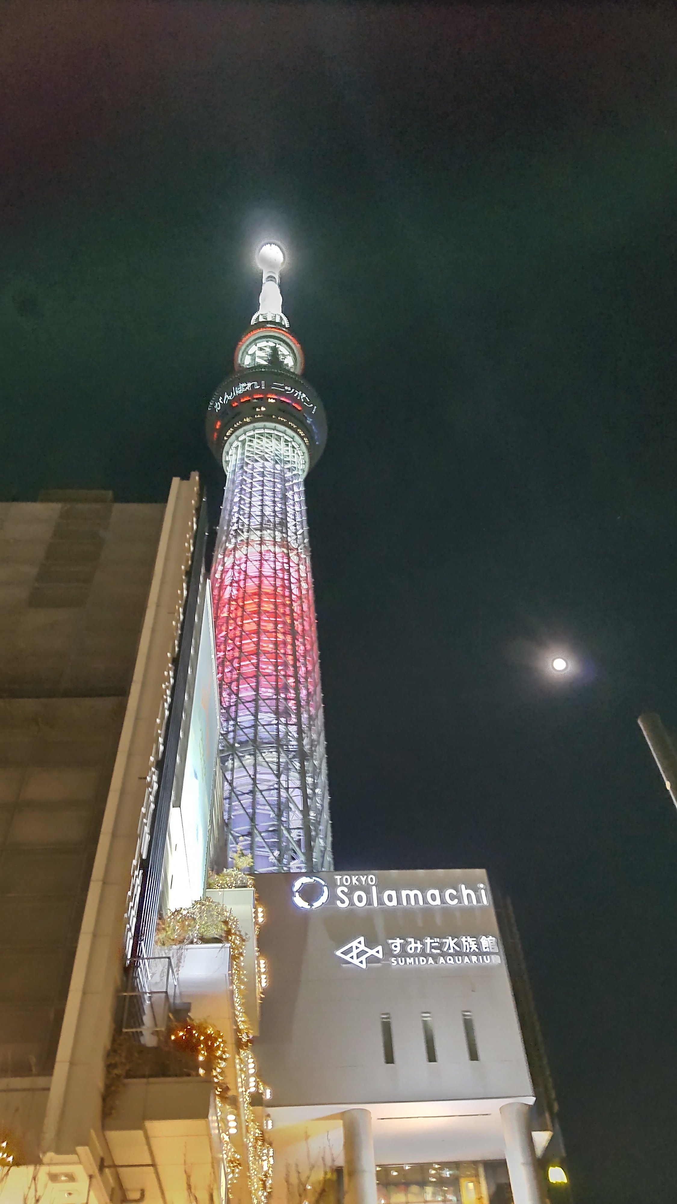 ほっしー 一昨夜から昨夜にかけてはスノームーンという満月だったのですが 東京スカイツリー の北京冬季オリンピック応援特別ライティングとスノームーンを絡めて撮るのは今日しかないのでは と思って慌てて撮りました 写真右側中央付近で輝いているのが月