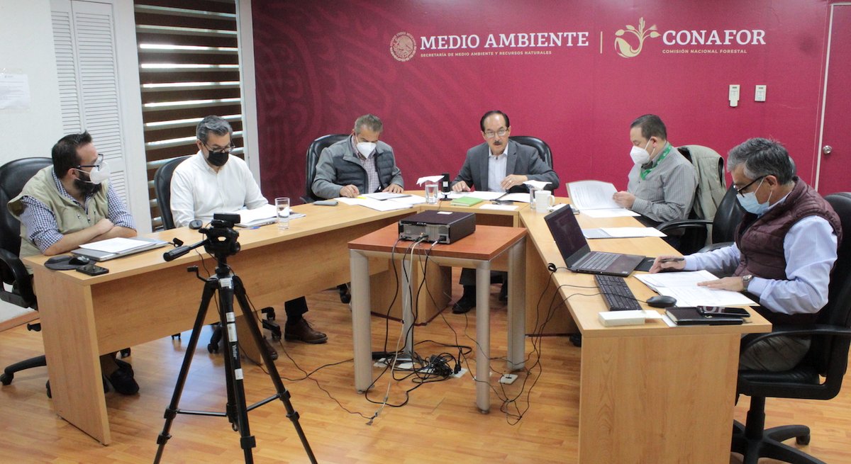 CONAFOR's tweet photo. De manera virtual 🧑‍💻, se llevó a cabo la 60a Sesión Ordinaria del Consejo Nacional Forestal. 

Durante la sesión, los Comités Técnicos presentaron sus programas de actividades para el 2022📋, con lo cual se generará el espacio de análisis💬  y atención a los temas prioritarios. https://t.co/rT5TXhkdLX