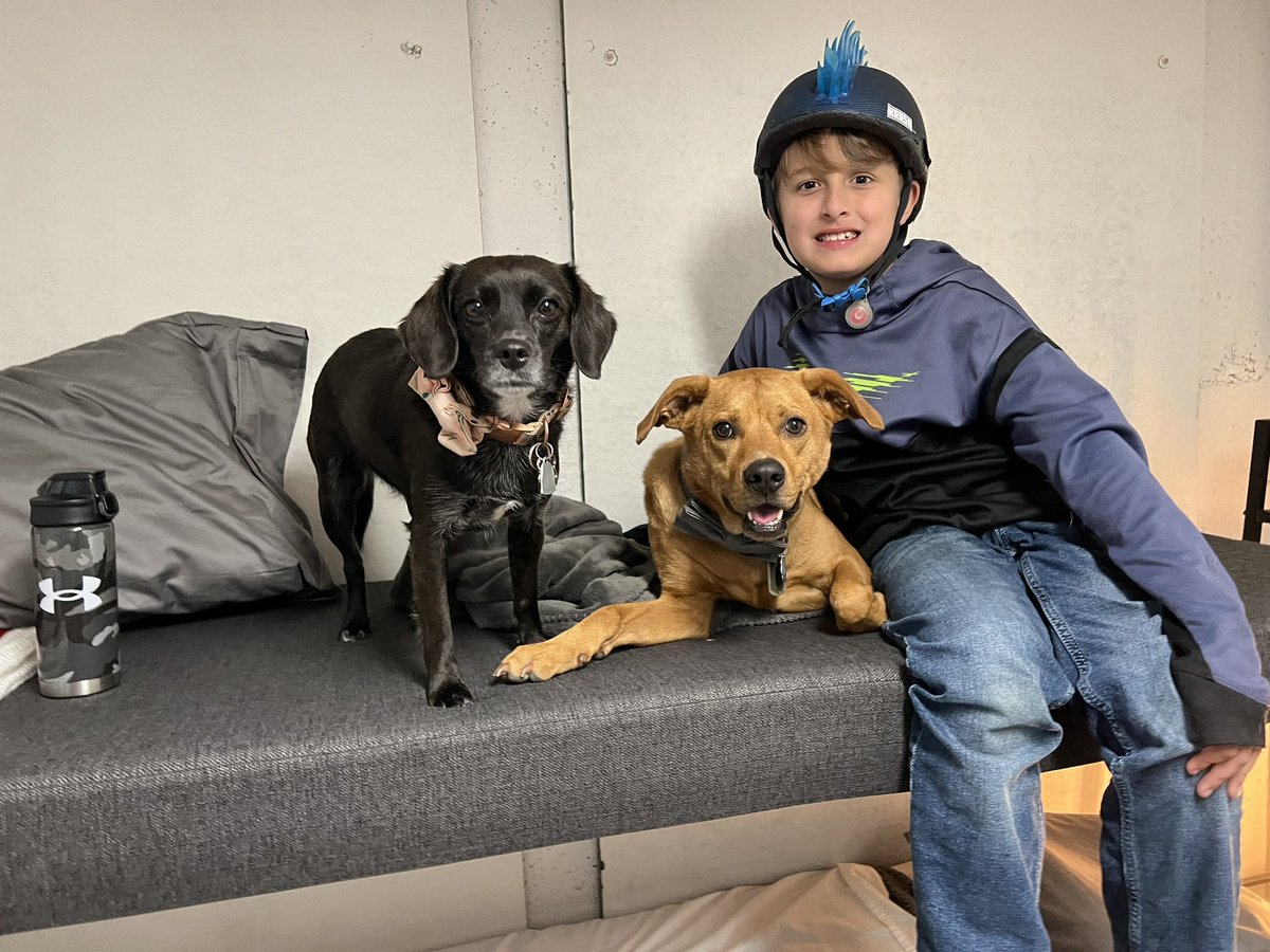 toadfrog93's tweet image. Watching @spann in our safe place! Only one child agreed to wear a helmet. The furry children refused to