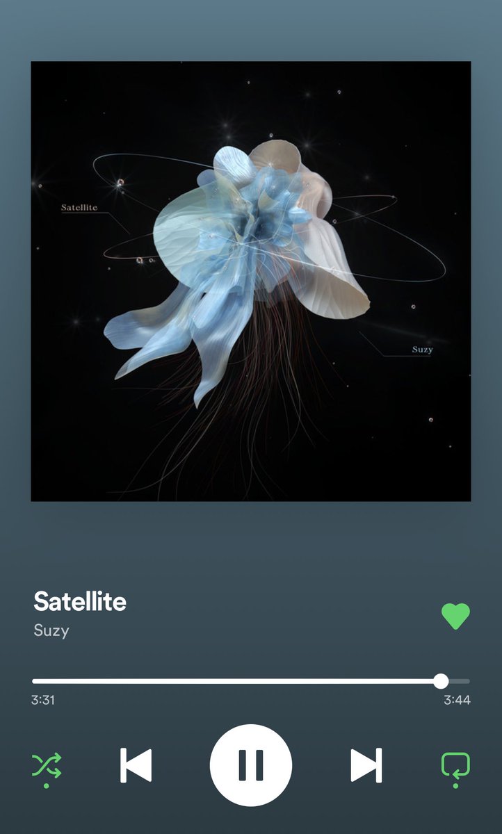 suuzybabe's tweet photo. Suzy’s Satellite is truly the best present this year ❤️ https://t.co/JuUFAb1RF7