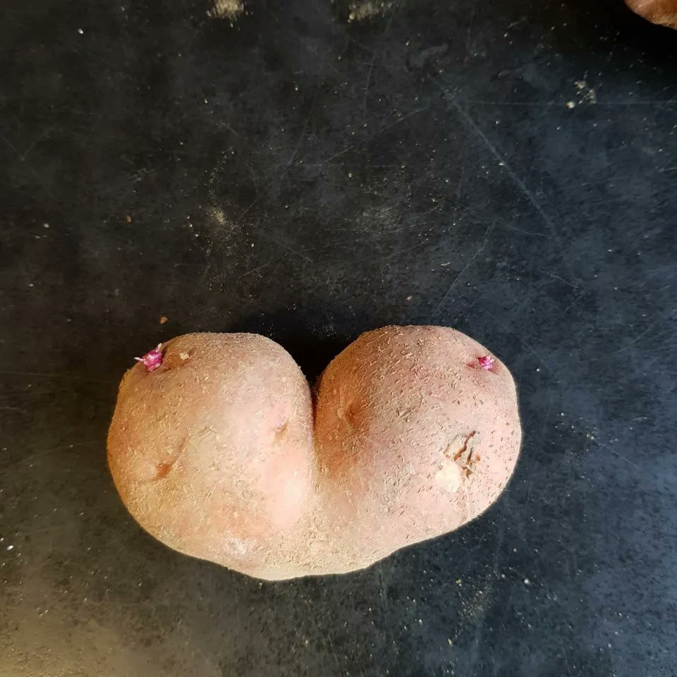 sandol (@sandol51089319) | Twitter