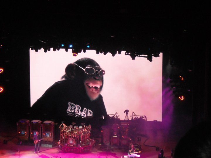 RASLOUD11's tweet photo. Red Rocks - Time Machine Tour 8/16/2010.
#redrocks #RUSH #theroughcut https://t.co/P8rYSIYNIC