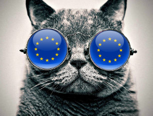 gwenross7519's tweet photo. Who would like a follow back?
I'm only following #FBPE twitter chums.And those that know that the #SavetheNSH is in our interest.
And #GTTO #JohnsonOutDay25
#LetsGetBorisDone https://t.co/p6dtSSCt8q
