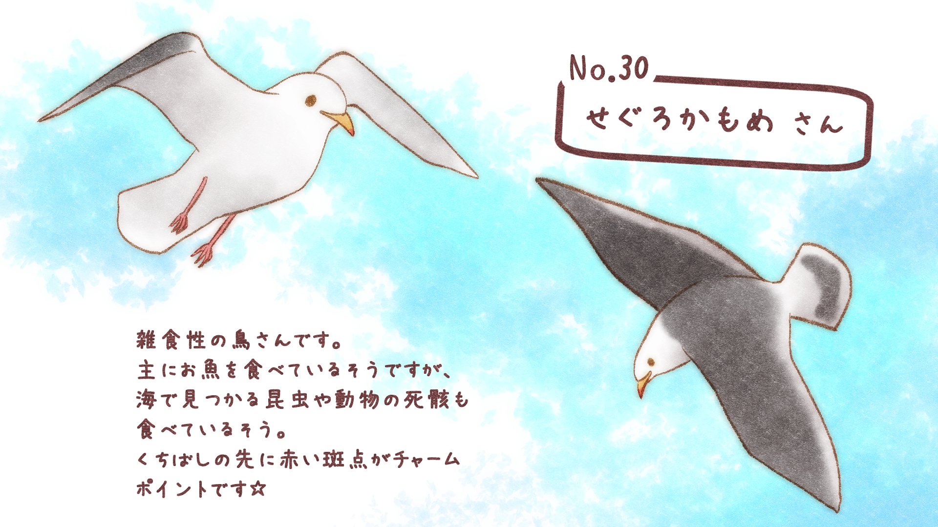 桜こより 鳥イラスト くちばし先端の赤い斑点 可愛いおしゃれさんですよね セグロカモメ 鳥好きさんと繋がりたい イラスト 鳥イラスト こより覚描き T Co Xzejxsd3an Twitter