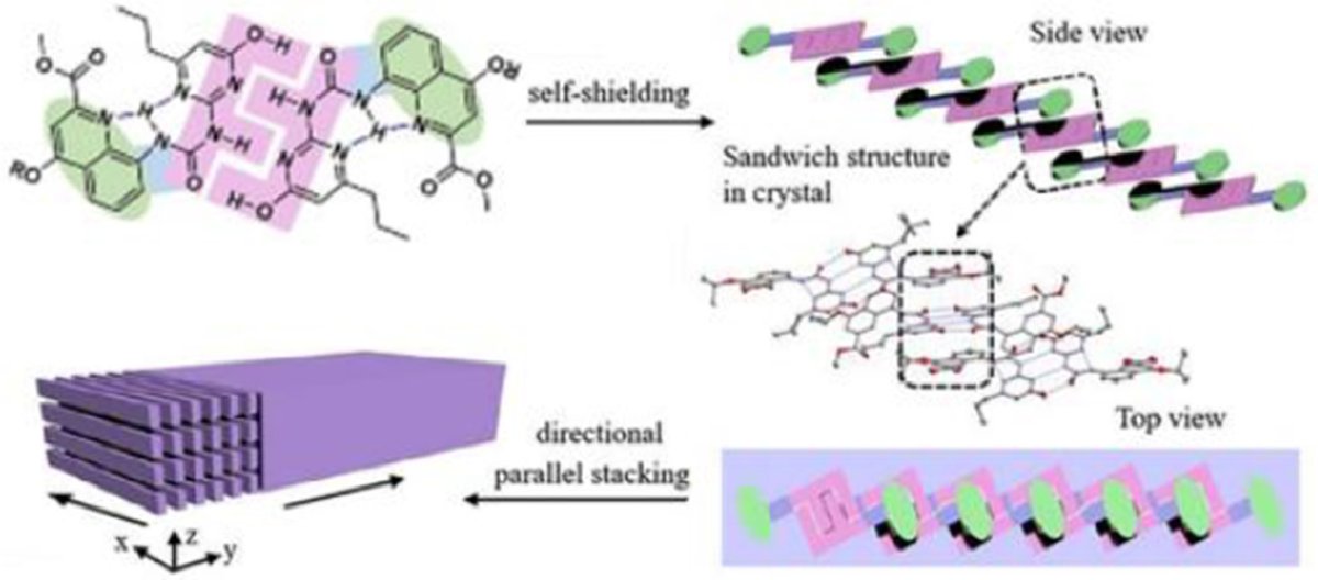 ChinChemLett's tweet photo. Dimensionally confined #nanosheets #SelfAssembled through self-shielding multiple #HydrogenBonding interactions in aqueous media. @ELSchemistry 
Read it: https://t.co/oYv0XoRSV5 https://t.co/L7YjlMJmuo