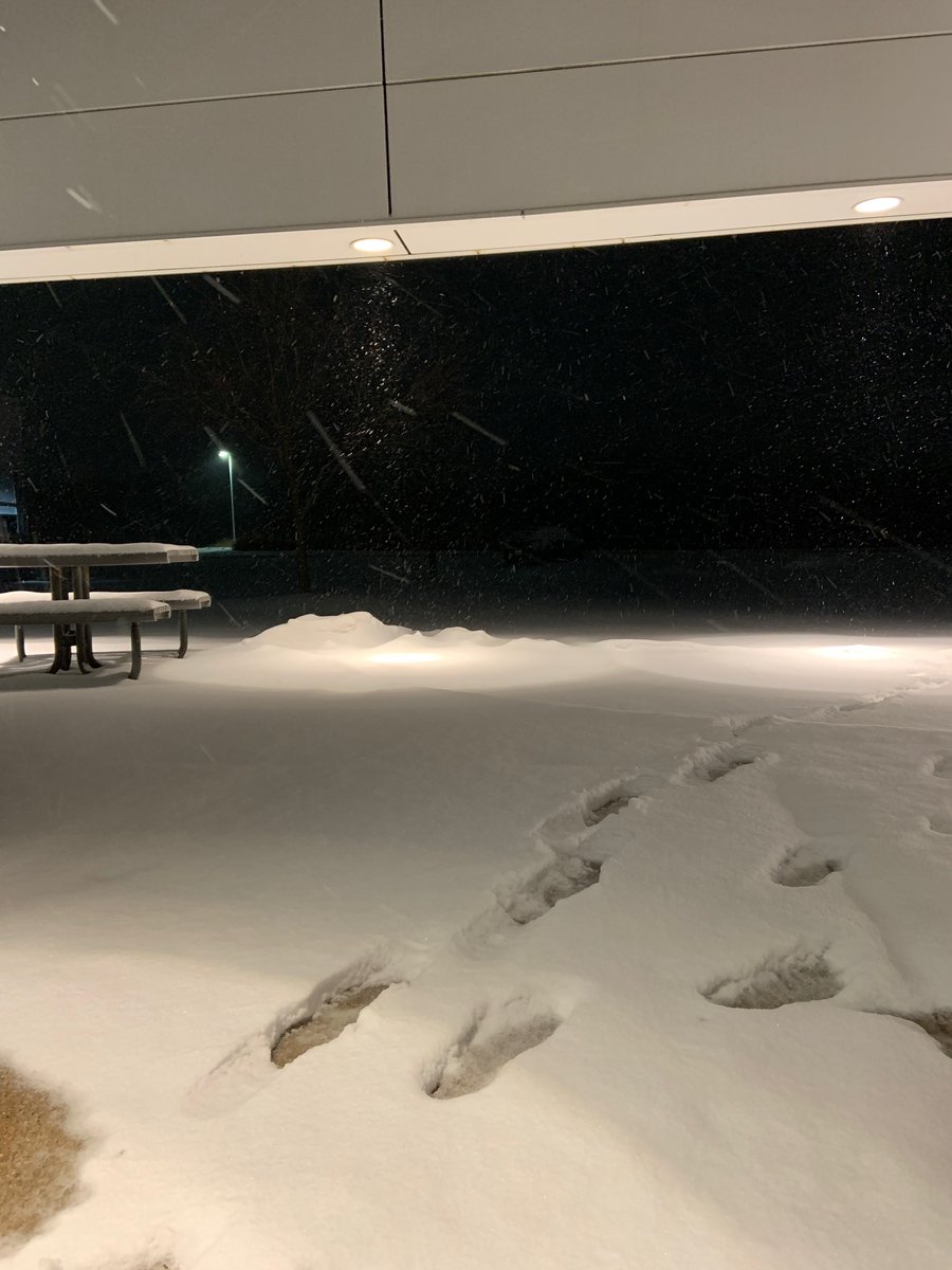 Francesca Miozzi tweet media