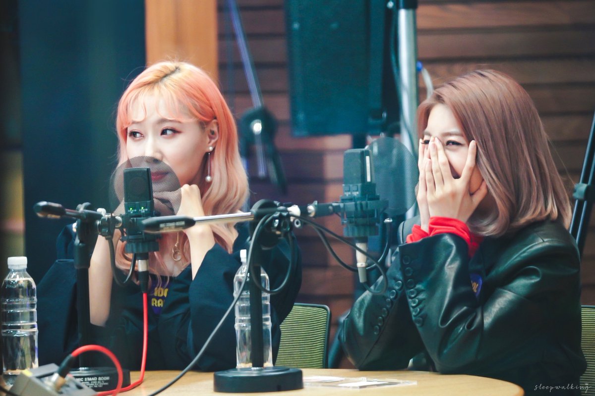 daily dadong (@dadongpics) / Posts / X