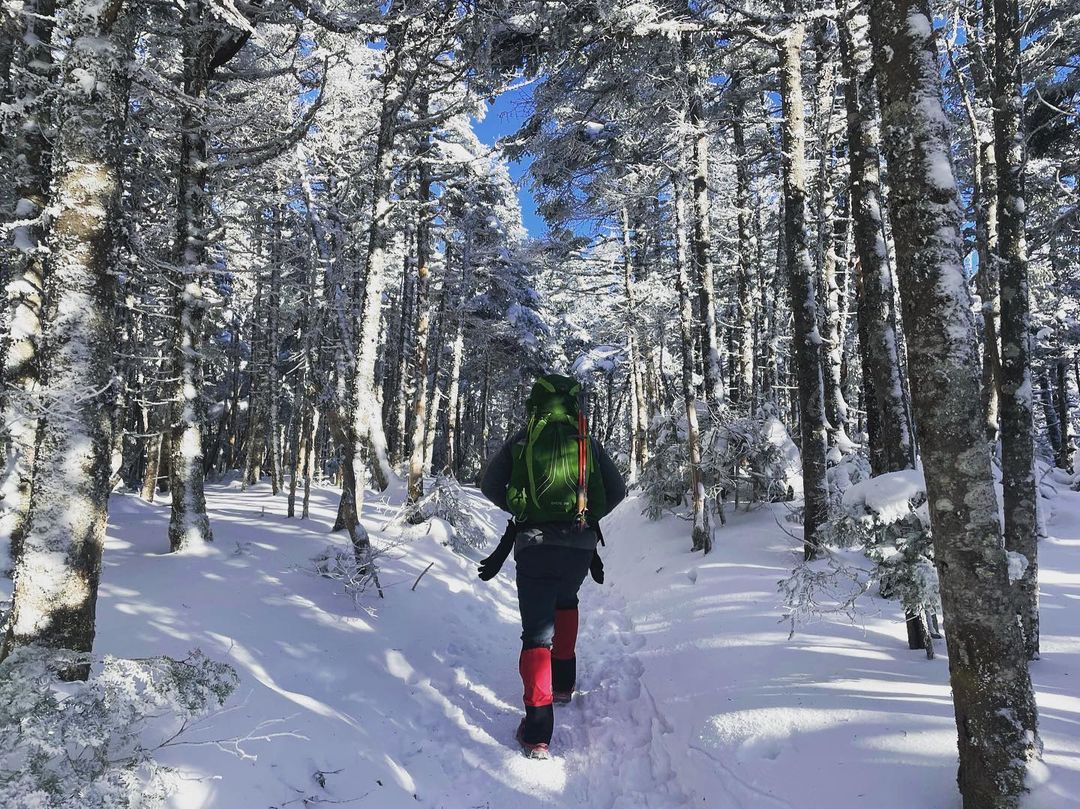 HotChillys's tweet photo. Travel into the woods with Hot Chillys ❄️ Recommend a winter hike down below 👇
📷 @afolsom33 https://t.co/BWnybDT3n7