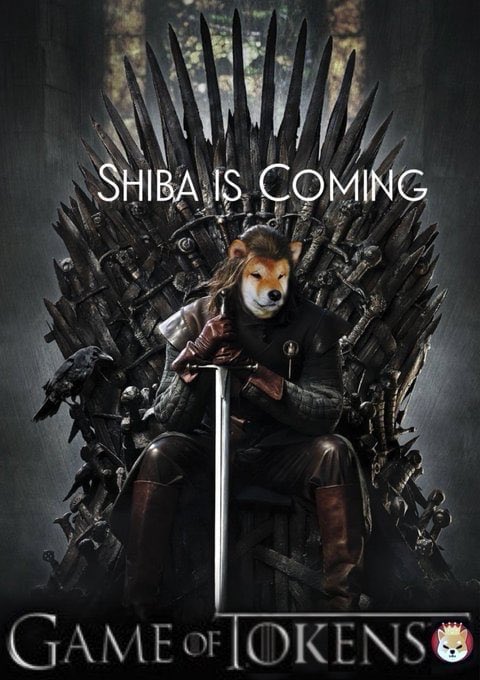 Shiba F@N tweet media