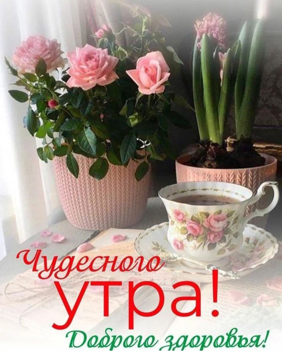 Доброе утро