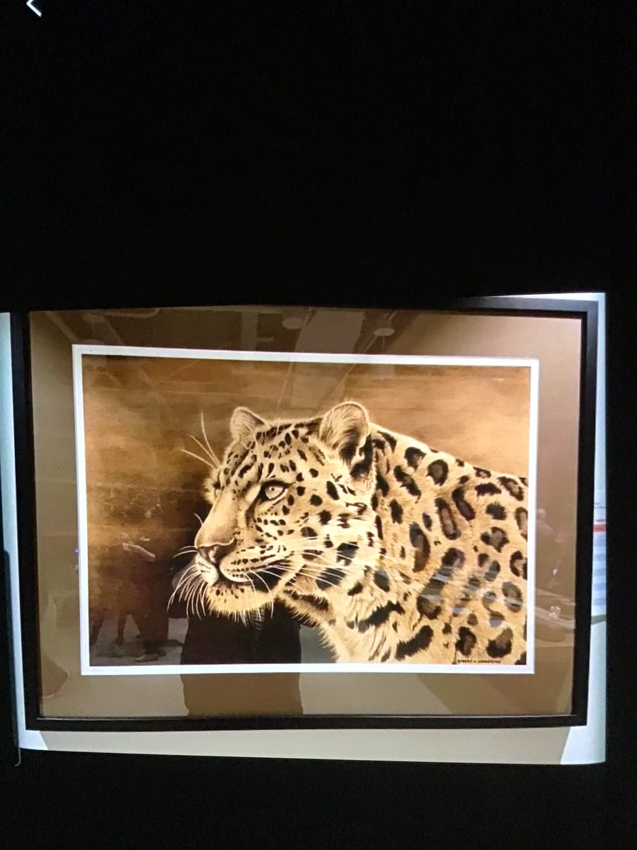 SpiritReflecAr's tweet photo. Some of the wild life realism wood burned by hand 
By @SadersonRS https://t.co/Nz4OvzU4JX