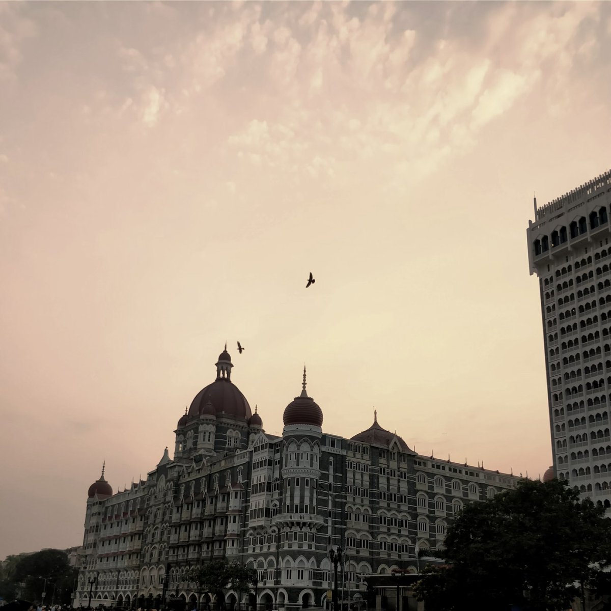 AshDodani's tweet photo. In this moment, close your eyes,
and like a bird eye view, feel your heights,
visualize your brightest day,
experience and imagine your smile,
the way you laugh fills the room with
magic dust, did you know?

Your time has come to find a soul: https://t.co/r2Po2LIkXT https://t.co/QMaSsWvhjK