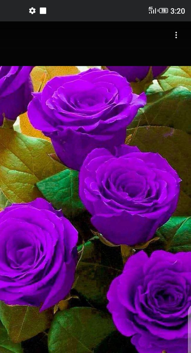 JennyRoseLoos1's tweet photo. https://t.co/rrWYYOZ9Ab