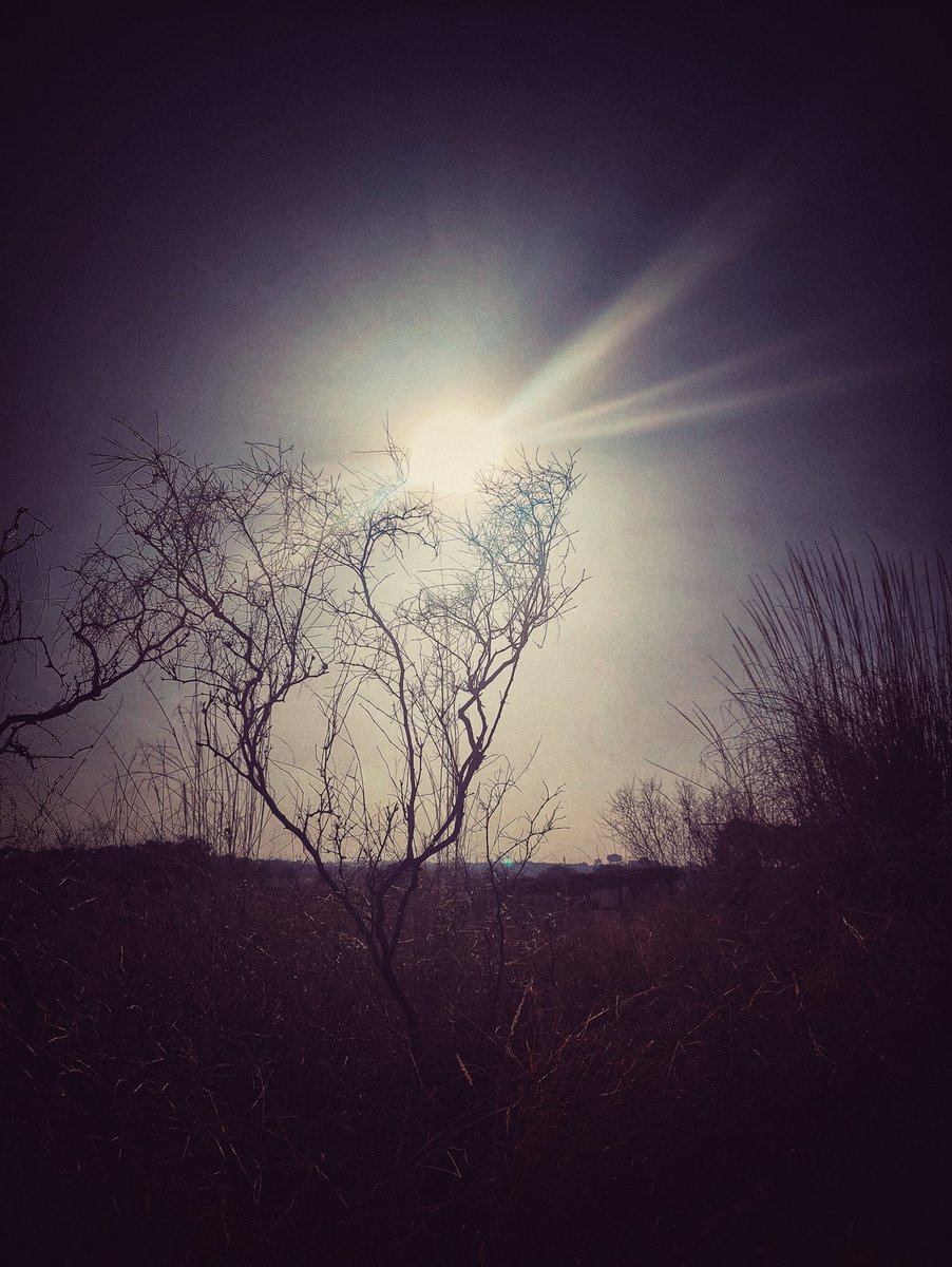 You can't calm the storm.what you can do is calm yourself, and the storm will eventually pass.Truly,the most powerful and practical changes happen when u decide to take control of what u do have power over,instead of craving control over what you don't.