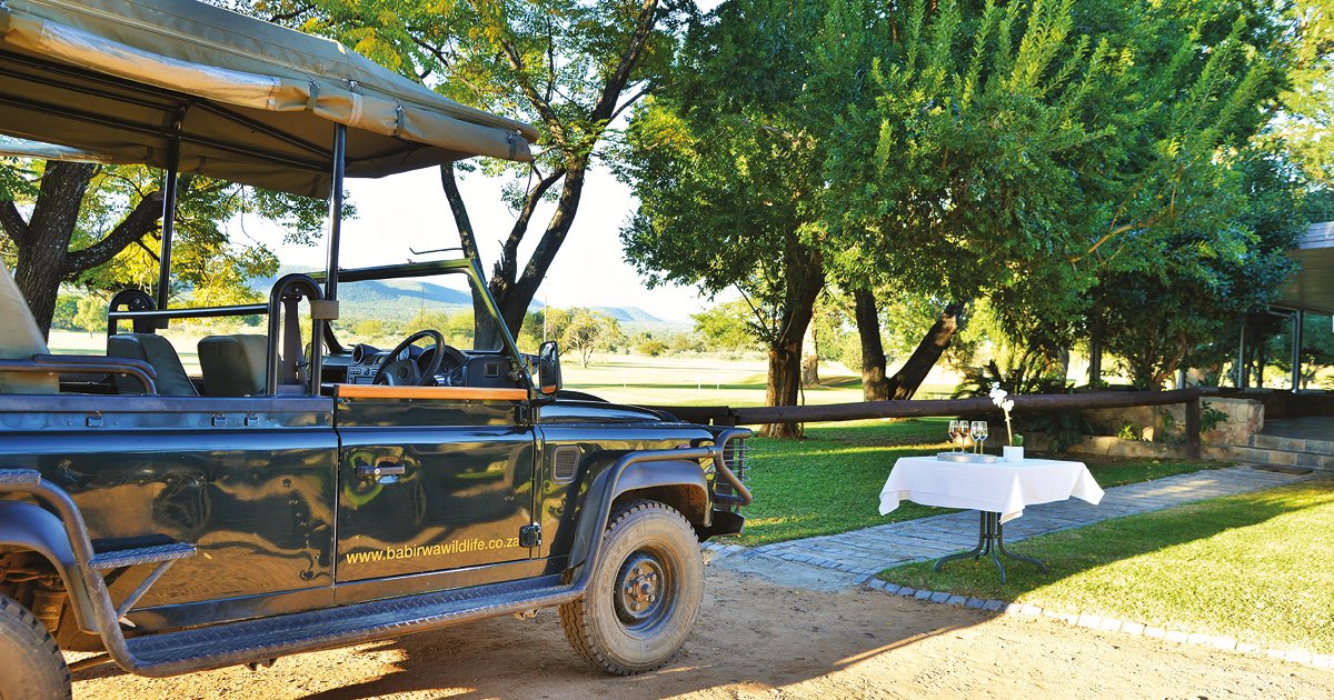 BabirwaLodge's tweet image. Our lodge offers an 18-hole golf course, game viewing and bird watching, mountain biking, hiking and fishing. 

Reserve your piece of peace here.
babirwalodge.co.za

#babirwa #babirwagolflodge #travel #golf #golfcourse #golfing