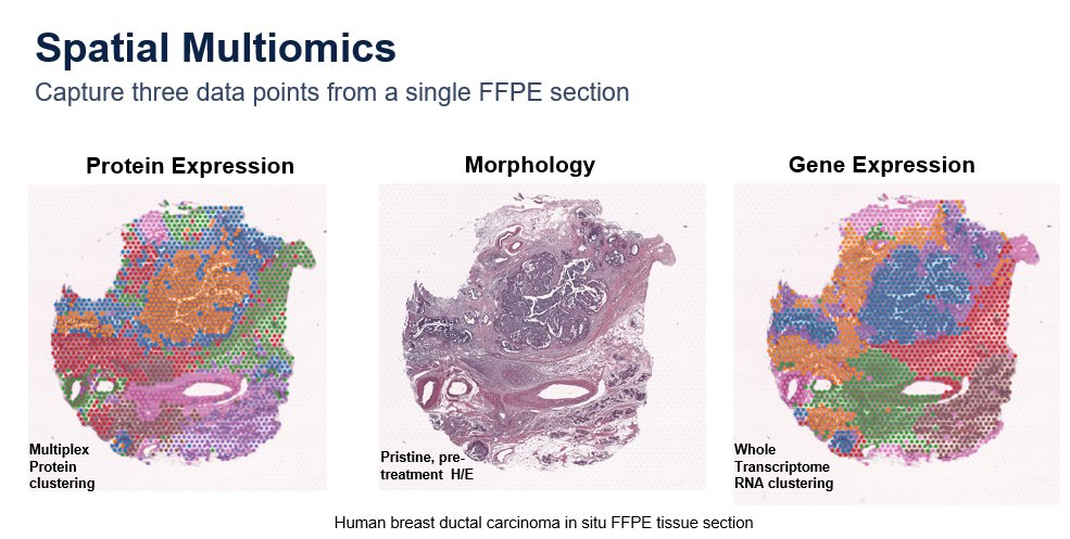 mscienceaustnz's tweet photo. With their upcoming Visium Gene & Protein Expression @10xGenomics' spatial multiomic approach not only gives you both highly multiplexed #protein and #RNA from a single #tissuesection, it also preserves a third data point, morphology! https://t.co/XskPjVdKEl
