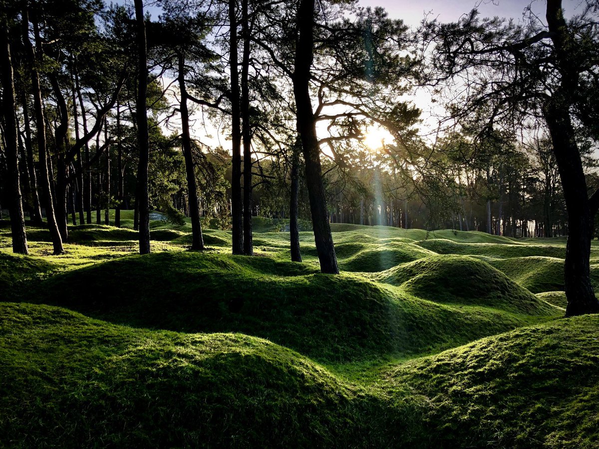 Ri315e's tweet image. #frontlinefriday
Where are we today?