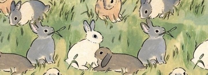 adgritos's tweet photo. Lysandre como coelhinhos, uma pequenA thread pra curar onde dói: https://t.co/ecCKH7pmep
