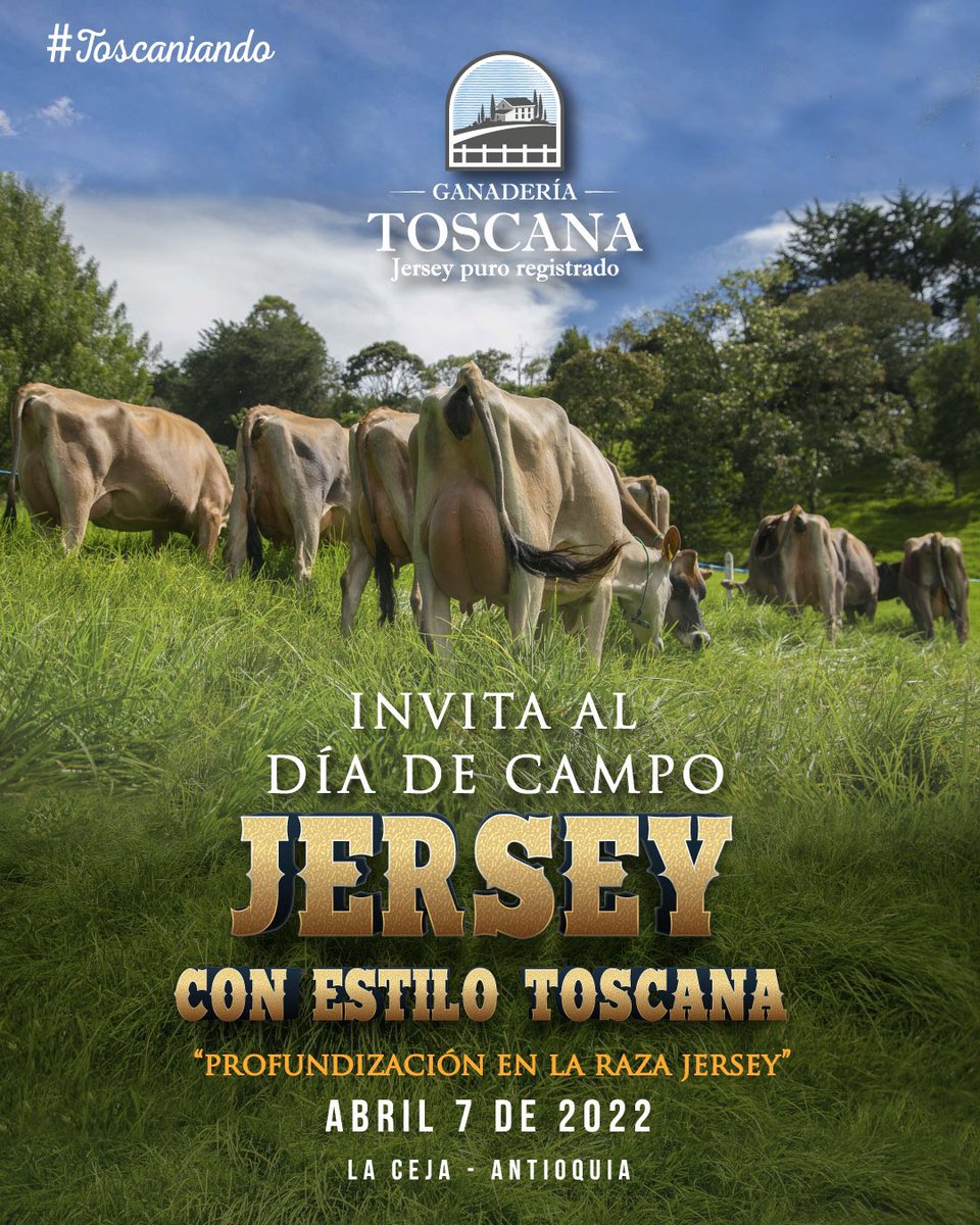 ganadotoscana's tweet photo. #TOSCANIANDO https://t.co/mA4xx2DGLZ