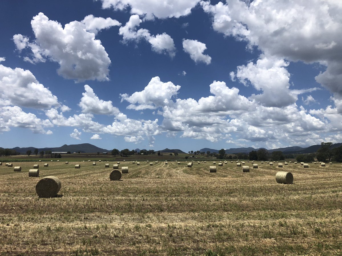 Picture perfect 🌾 #fridayfarming