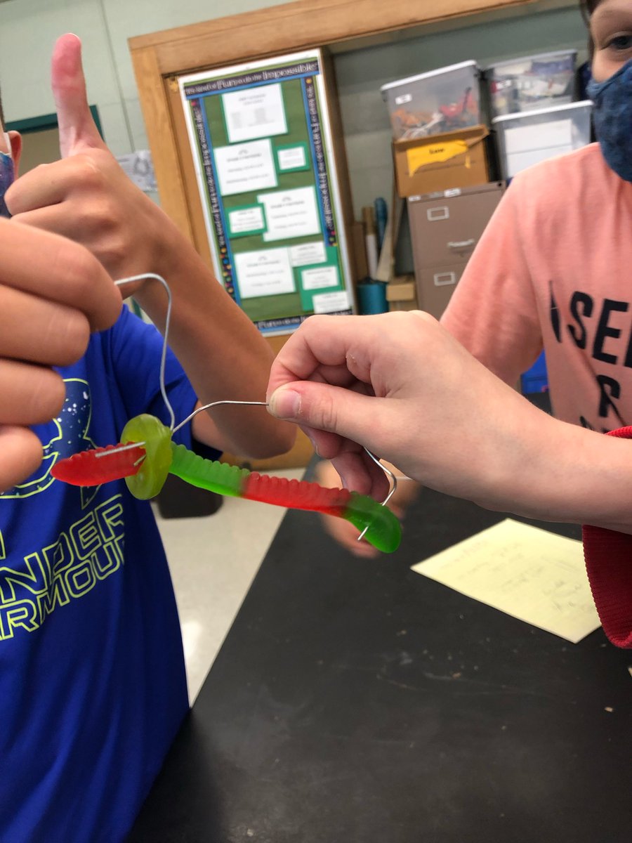 Saving Sam Grade 4…great communication skills!