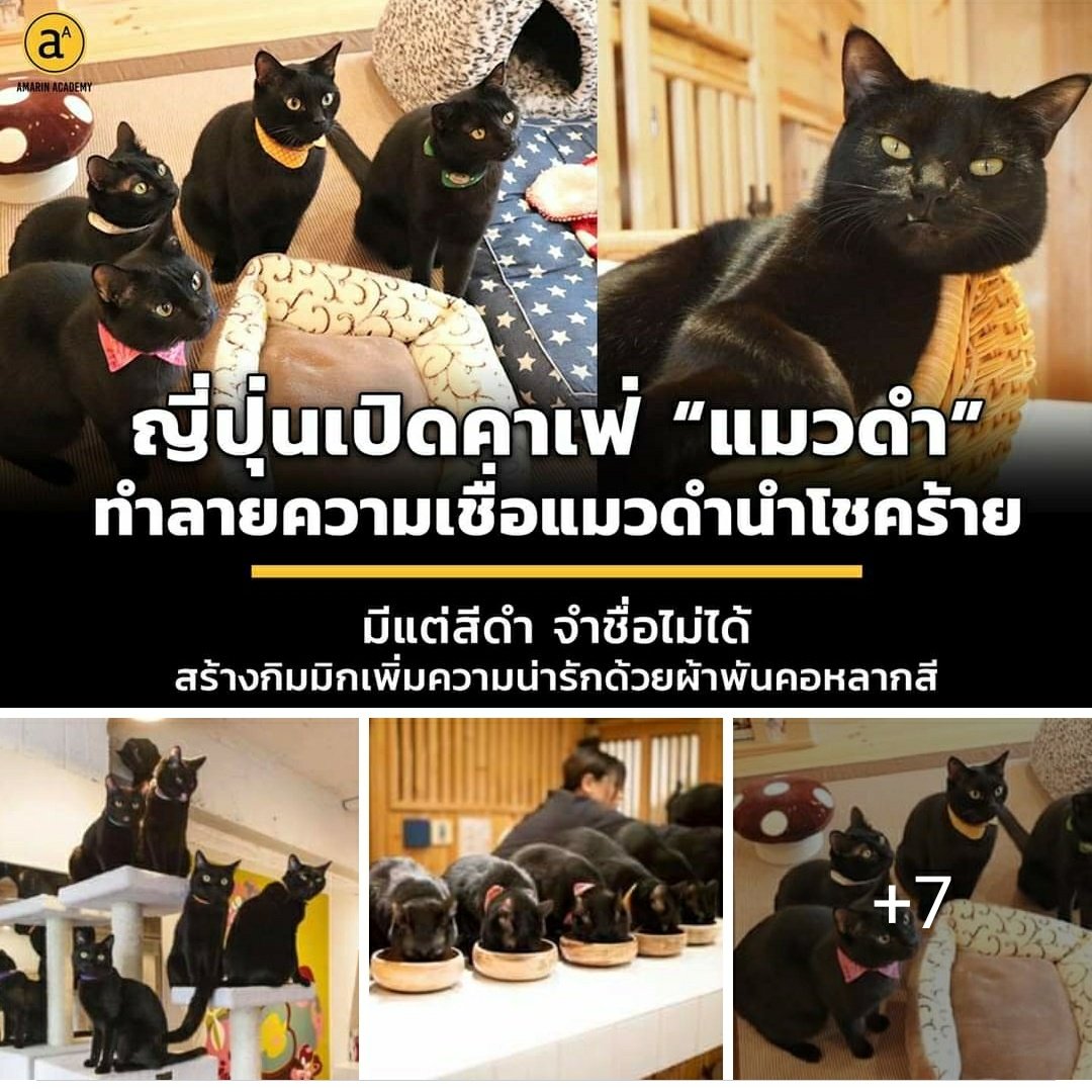 ฉันมารอโคมิซังซีซั่นสามที่ท่าน้ำทุกวันเลยนะ... tweet media