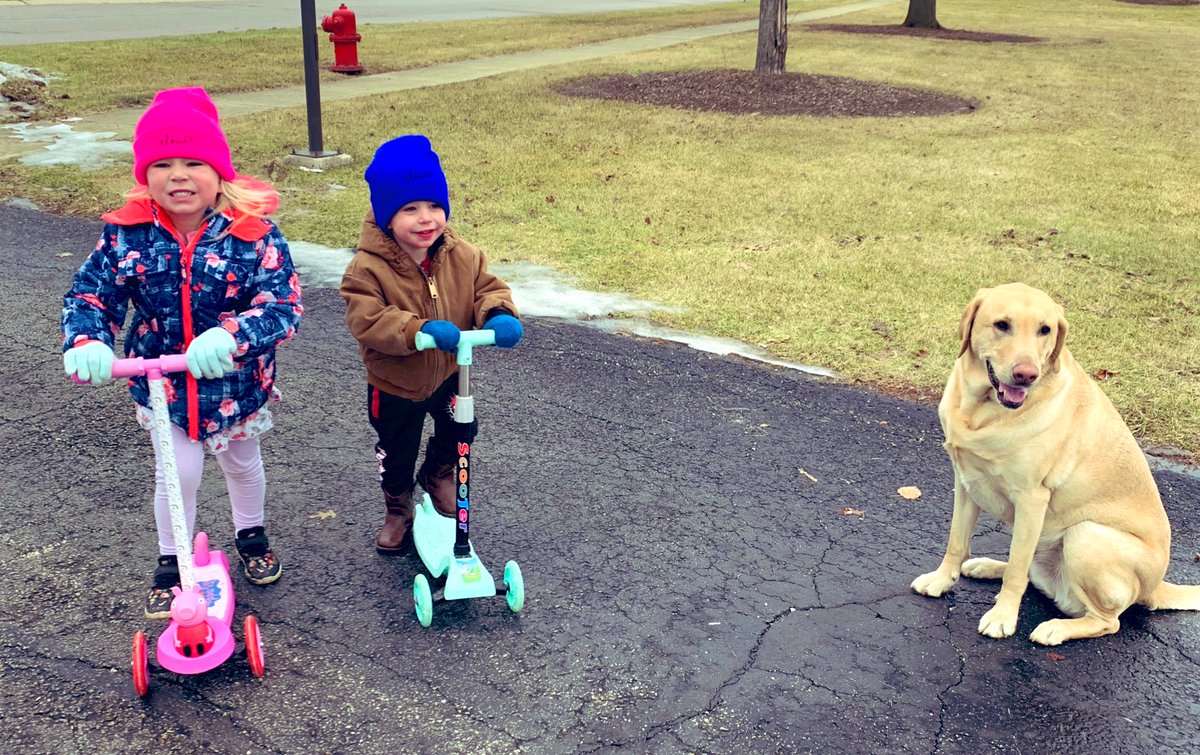 AlisonStrandell's tweet photo. Played with these 3 cuties during the morning break #remotelearningday #futurefoxes https://t.co/A2koNPK7td